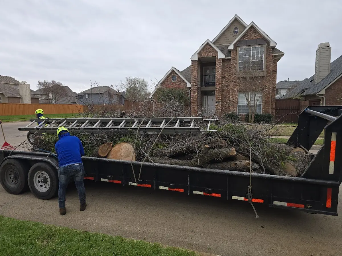 Expert Tree Removal with proper safety equipment in Gillette
